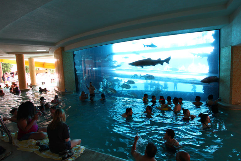 Golden Nugget shark tank