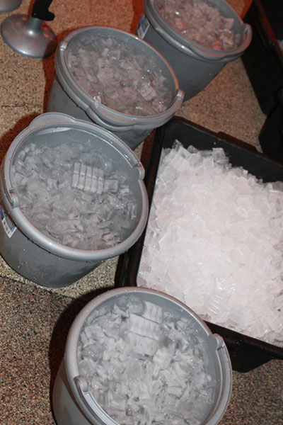 Ice Bucket Challenge