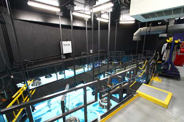 Take a Tour of the Shark Tank at Golden Nugget Las Vegas 3 Shark tank Tour