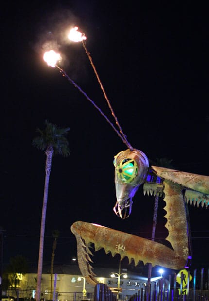 Fire Breathing Mantis Downtown