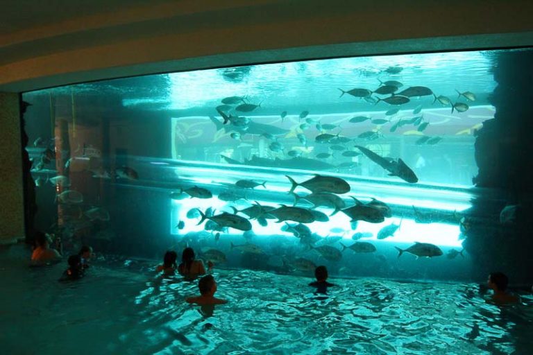 Fantastic Ways to Relax in Downtown Las Vegas on a Budget 2 Golden Nugget aquarium