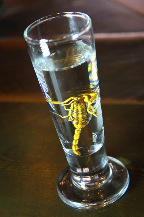 scorpion shot
