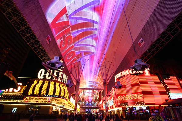 Everything You Need to Know About the Viva Vision Canopy Upgrade 1 Viva Vision 1