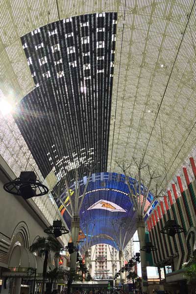 Everything You Need to Know About the Viva Vision Canopy Upgrade 11 Viva Vision 102