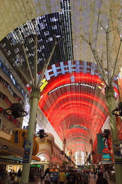 Everything You Need to Know About the Viva Vision Canopy Upgrade 14 Viva Vision Renovation