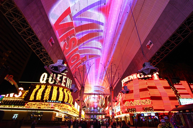 Everything You Need to Know About the Viva Vision Canopy Upgrade